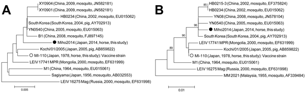 Phylogenetic analyses of the nucleotide sequences of the (A) nonstructural protein 1 (NSP1) gene (nt 218–598) and (B) capsid gene (nt 7645–8196) of Getah virus isolated in Japan, 2014. The genome positions of the NSP1 and capsid genes correspond to those of Kochi/01/2005 strain (GenBank accession no. AB859822) (14). Closed and open circles represent Miho2014, the strain isolated in this study, and MI-110, the strain isolated in 1978, respectively. The percentage bootstrap support is indicated by