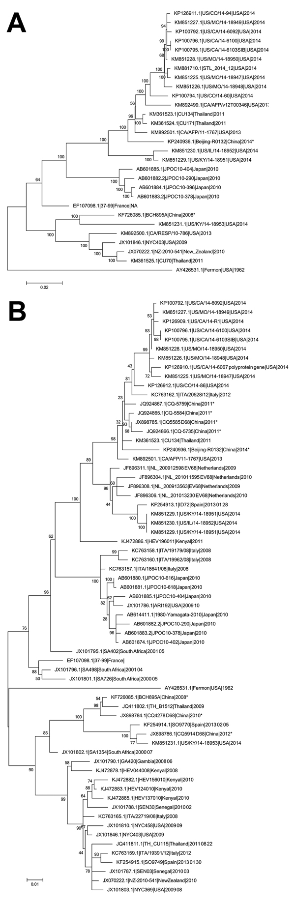 Phylogenetic analysis of enterovirus D68 (EV-D68) from different locations. The phylogenetic relationships of all complete or near-complete EV-D68 genomes (A) or representative viral protein 1 sequences from different countries (B) were estimated by using the maximum-likelihood method with 100 replicates bootstrapped by using MEGA (http://www.megasoftware.net). Bootstrap values were indicated on each tree. EV-D68 strains from China are indicated with an asterisk. GenBank accession numbers are sh