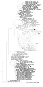 Thumbnail of Midpoint-rooted phylogenetic tree of Middle East respiratory syndrome coronavirus spike gene open reading frame sequences of this virus obtained from camels and select humans (sequences available from GenBank). The estimated neighbor-joining tree was constructed from nucleotide alignments by using MEGA version 6.06 (http://www.megasoftware.net). Sequence names are derived from GenBank accession number | virus strain name | month-year of collection. Numbers in parentheses denote numb