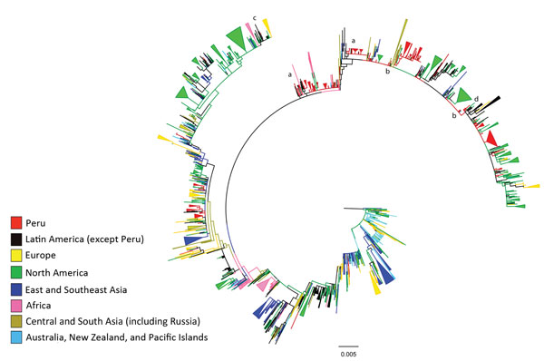 Maximum likelihood phylogeny of hemagglutinin sequences of influenza A(H3N2) viruses from Peru and other global locations, rooted on the oldest available sequence (A/Hong Kong/CUHK52390/2004). Clades containing strains from Peru and a neighboring country are indicated by the letters a–c, designating Bolivia (a), Chile (b), and Ecuador (c). The letter d indicates phylogenetic evidence of migration from Peru to North America, with onward transmission after seeding that region. Scale bar indicates 