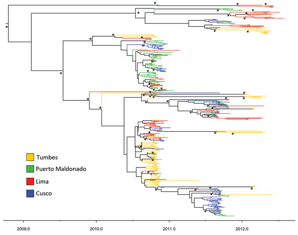 Time-scaled maximum clade credibility phylogeny of hemagglutinin sequences for influenza A(H3N2) viruses from 4 locations in Peru. *Indicates posterior probabilities &gt;0.9. Scale bar refers to year of sampling to indicate time of sampling for each virus.