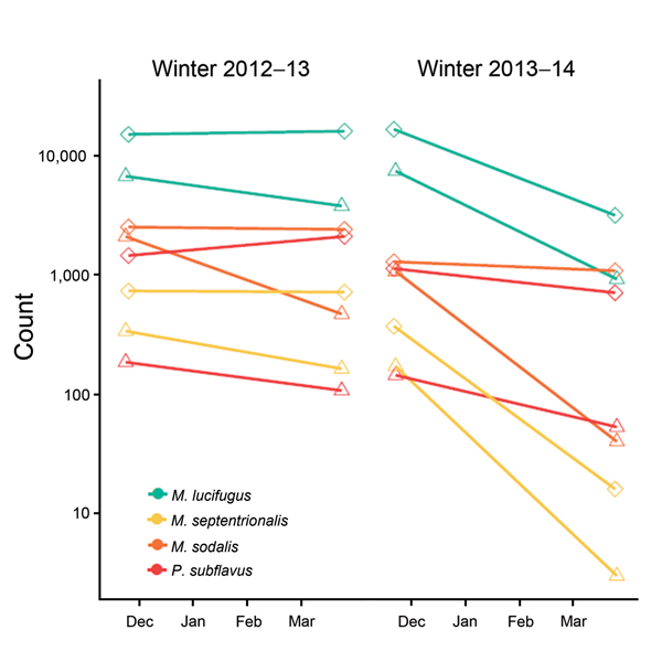 Complete population counts on a log scale of 4 species of bats at 2 sites in Illinois, USA, over 2 winters, 2012–13 and 2013–14. Diamonds and triangles indicate sites.