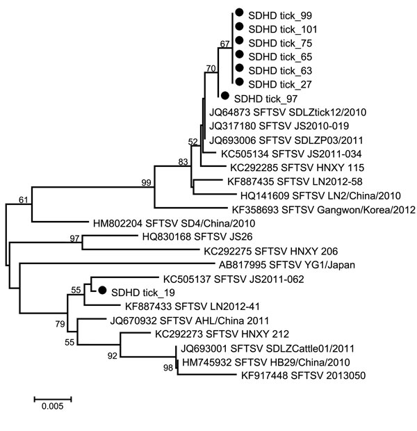 Phylogenetic analysis of severe fever with thrombocytopenia syndrome virus (SFTSV) small segment sequences from ticks collected during June–July 2014 from Jiaonan County, Shandong Province, China. Dots indicate SFTSV sequences amplified from ticks in this study; GenBank accession numbers are shown for other sequences. Scale bar represents nucleotide substitutions per site.