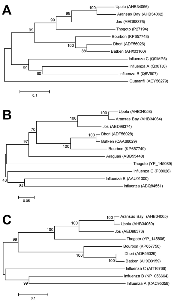 Phylogenies of deduced amino acid sequences of representative genes of Bourbon virus in comparison to homologous sequences of selected orthomyxoviruses. A neighbor-joining method was used for inference of each phylogeny with 2,000 replicates for bootstrap testing. Values at nodes are bootstrap values. A) PA polymerase subunit, (segment 3). B) Nucleocapsid protein (segment 5). C) Membrane protein (segment 6). GenBank accession numbers appear next to taxon names. Scale bars indicate number of amin