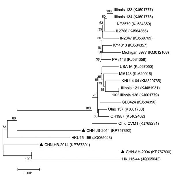 Phylogenetic tree of all complete porcine deltacoronavirus genome sequences available in February 2015. The phylogenetic tree was constructed by using the distance-based neighbor-joining method in MEGA 6.06 software (http://www.megasoftware.net/). Bootstrap values were calculated with 1,000 replicates. The number on each branch indicates bootstrap values. The reference sequences obtained from GenBank are indicated by strain abbreviations and GenBank accession numbers. Triangles indicate the 3 st