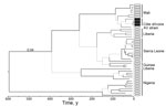 Thumbnail of Bayesian chronogram of Lassa virus (LASV) sequences determined on the basis of a fragment of the large genomic segment. Branches receiving posterior probability values &lt;0.95 and bootstrap values &lt;50 (poorly supported) are dashed. LASV sequences of human origin are indicated by ovals, and those of multimammate rats are indicated by squares. Sequences reported in this study are indicated by black squares. This tree was built under the assumption of a molecular clock and is there