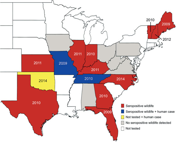 State-level distribution of Heartland virus case reports in humans and seropositive wildlife, central and eastern United States, 2009–2014. Red indicates states with seropositive animals; gray indicates states with no seropositive animals. Black diagonal lines indicate states in which cases were reported in humans. Year labels indicate the earliest year of detected HRTV activity. Earliest detection was determined by human case reports in Missouri (1 case) and Oklahoma (3 cases) and wildlife sero