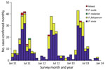 Thumbnail of Monthly number of confirmed malaria cases of different Plasmodium species, Yunnan Province, China, 2011–2013.