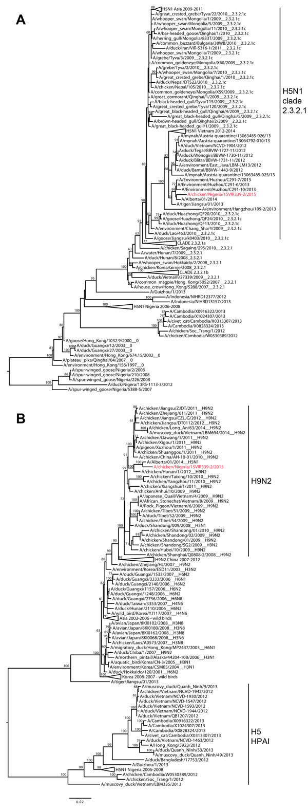 Maximum likelihood phylogenetic trees of the A) hemagglutinin and B) polymerase basic 2 gene segments of highly pathogenic avian influenza A(H5N1) virus from poultry in Nigeria, 2015 (in red). Bootstrap values (100 replicates) &gt;60 are shown at the nodes. 