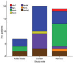 Thumbnail of Distribution of causative organisms among 139 patients with clinical symptoms of bacterial meningitis in Ethiopia, 2012–2013, as verified by DNA from either meningococci (Neisseria meningitidis, serogroups A, NmA; C; NmC; X, NmX; ; W, NmW; and NG, not serogrouped as A, C, Y, W, or X), Streptococcus pneumoniae (Spn), or Haemophilus influenzae (Hinf) in cerebrospinal fluid.