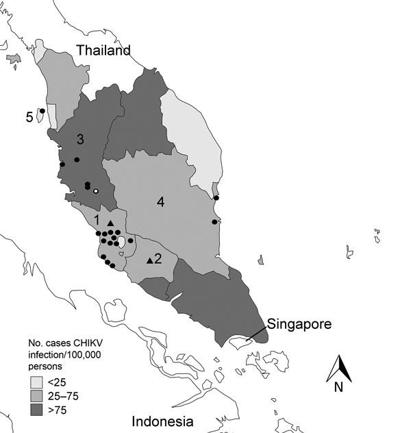 Cases of human infection with chikungunya virus (CHIKV) per 100,000 persons in 5 states in Peninsular Malaysia, 2008–2009, and sites where monkeys were sampled in 2009–2010. Published CHIKV case numbers were used (4), and published estimated populations of monkeys in 2011 were reduced by an annual growth rate of 5% to obtain population estimates for 2010 (3). Solid circles indicate monkey sampling sites, triangles indicates sites from which samples were obtained (where the specific locations was