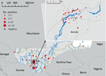 Thumbnail of Locations of origin for 100 specimens analyzed in this study (95 with positive results and 5 with negative results) submitted for rabies virus diagnosis, Mali, 2002–2013. Inst shows closer view of the area near the capital city of Bamako.