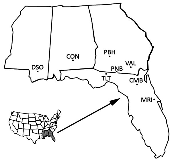 Eight locations in 4 states in the southeastern United States where armadillos were sampled and tested for infection with Mycobacterium leprae. Inset (shaded region) indicates location of the 4 states. DSO, DeSoto National Forest, Mississippi; CON, Conecuh National Forest, Alabama; PBH, Pebble Hill Plantation, Thomasville, Georgia; PNB, Pinebloom Plantation, Albany, Georgia; VAL, Valdosta, Georgia; TLT, Tall Timbers Research Station and Land Conservancy, Tallahassee, Florida; CMB, Camp Blanding,
