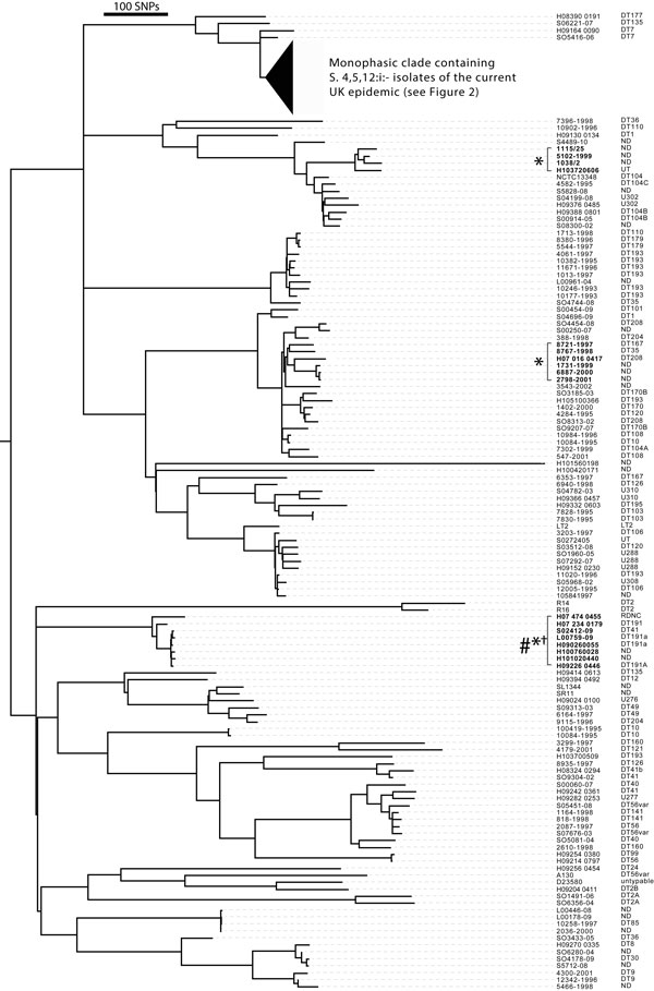Phylogeny of Salmonella enterica serovar Typhimurium (Salmonella Typhimurium) and Salmonella 1,4,[5],12:i:- isolates from the United Kingdom and Italy, 2005–2010. Maximum-likelihood tree of 212 Salmonella Typhimurium and monophasic isolates was constructed by using 12,793 single-nucleotide polymorphisms (SNPs) outside of prophage elements, insertion sequence elements and sequence repeats identified by reference to the whole-genome sequence of Salmonella Typhimurium strain SL1344. The tree is roo