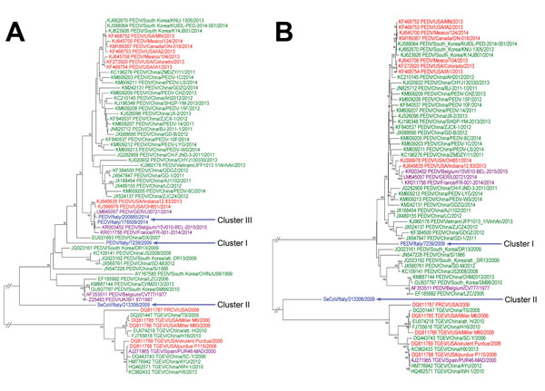 Phylogenetic analyses of swine enteric coronaviruses in Italy. A) Analysis performed on the basis of the nucleotide sequence of the complete spike (S1) gene of 4 representative strains from the 3 clusters and whole genome and B) of 2 positive strains from clusters I and II. Cluster I represents strains circulating from 2007 through mid-2009; cluster II represents strains circulating from mid-2009 through 2012; and cluster III represents strains circulating since 2014. Bootstrap values &gt;70% (1