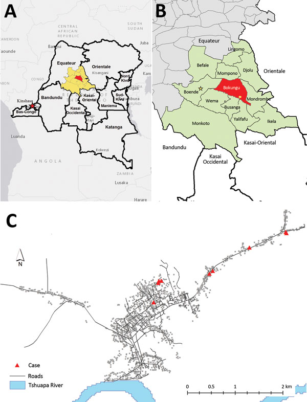 Region affected by monkeypox illness. A) The Democratic Republic of the Congo is outlined; Tshuapa District is highlighted in yellow and Bokungu Health Zone in red. B) Health zones within Tshuapa District; Bokungu Health Zone is highlighted in red. The village with the largest cluster of cases is indicated by a yellow square. C) Distribution of cases (shown by red triangles) in the village with the most cases during this outbreak.