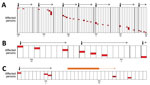 Thumbnail of Reconstruction of monkeypox virus transmission events in the Democratic Republic of the Congo by using an estimated incubation period. Each column represents a calendar day. Red boxes represent a single case of monkeypox infection. A cluster is defined as a set of case-patients that could have resulted from a single exposure and are delimitated with dark vertical lines. Dark arrows indicate the first case within a cluster, and the dotted arrow indicates the time during which a poten