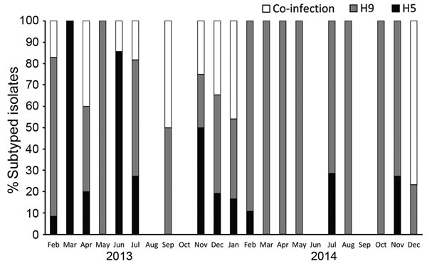 Subtypes of influenza A viruses detected in poultry by using reverse transcription PCR, by month, Egypt, February 2013–December 2014.
