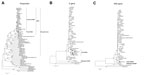 Thumbnail of Phylogenetic analysis of the nucleotide sequences of polyprotein gene (10,278 bp) (A), partial envelope gene (361 bp) (B), and partial nonstructural 5 gene (900 bp) (C) of duck Tembusu viruses (DTMUVs) from ducks in Thailand and selected reference strains of flaviviruses. The nucleotide sequences were aligned by using Muscle version 3.6 (4). The phylogenetic trees were constructed in MEGA version 6.0 by using the neighbor-joining algorithm with the Kimura-2 parameter model applied t