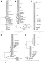 Thumbnail of Phylogenetic relationships among sequence types of Cyclospora cayetanensis at 5 microsatellite loci: A) CYC3, B) CYC13, C) CYC15, D) CYC21, and E) CYC22. Tree was constructed on the basis of neighbor-joining analyses of the nucleotide sequences, using genetic distances calculated by the Kimura 2-parameter model. Numbers on branches are bootstrap values from 1,000 replicate analyses. Only values &gt;50% are displayed on the left of each node. Scale bars indicate substitution rates pe