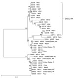 Thumbnail of Phylogenetic relationships among concatenated multilocus sequence types of Cyclospora cayetanensis as assessed by a neighbor-joining analysis of the nucleotide sequences, using genetic distances calculated by the Kimura 2-parameter model. Numbers on branches are bootstrap values from 1,000 replicate analyses. Only values &gt;50% are displayed on the left of each node. Scale bars indicate substitution rates per nucleotide. HN, Henan.