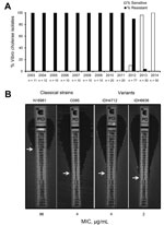 Thumbnail of Isolation profile of polymyxin B–sensitive Vibrio cholerae strains in Kolkata, India, 2003–2014. A) Yearly occurrence of polymyxin B sensitivity and resistance in V. cholerae O1 El Tor variant strains isolated from Kolkata patients. During the study period, 255 strains were tested; n values indicate the number of strains tested each year. Polymyxin B–sensitive strains first appeared in Kolkata in June 2012. The first isolate in January 2013 was resistant, but, thereafter, all strain