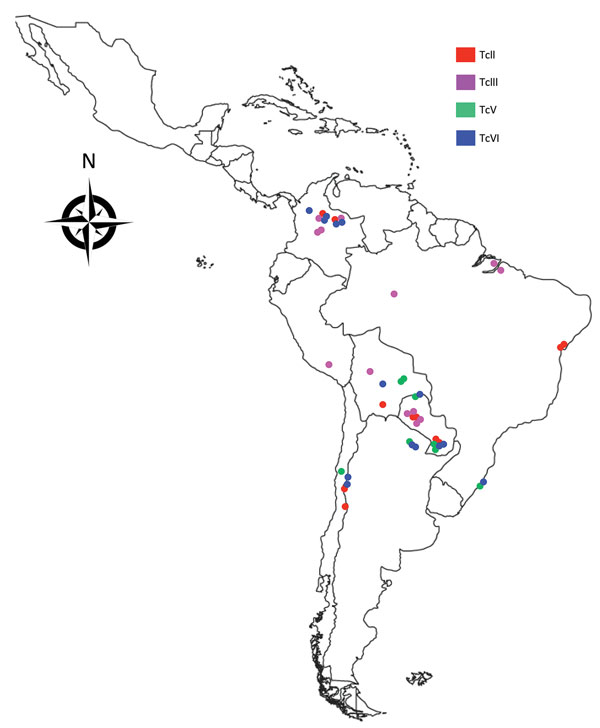 Geographic distribution of TcII, TcIII, TcV, and TcVI Trypanosoma cruzi clones, South America, 2002–2010. A total of 57 T. cruzi biologic clones were assembled for analysis. Of these, 24 were isolated from humans; triatomine vectors (Panstrongylus geniculatus, Rhodnius prolixus, and Triatoma venosa insects); and sylvatic mammalian hosts (Dasypus spp. armadillos) in Antioquia, Boyaca, and Casanare Departments in northern Columbia. The remaining 33 were reference clones derived from a range of rep