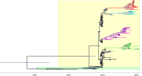 Temporally structured maximum clade credibility phylogenetic tree (years shown on the horizontal axis) of the hemagglutinin gene of highly pathogenic avian influenza (H5 clade 2.3.4.4) viruses. Yellow, group A; green, group B. Branches of group A are colored according to the origin of the sample: purple, isolates from poultry farms (South Korea); blue-green, icA2 (North America, Japan); green, icA1 (Europe, South Korea, Japan); red, icA3 (South Korea, Japan).