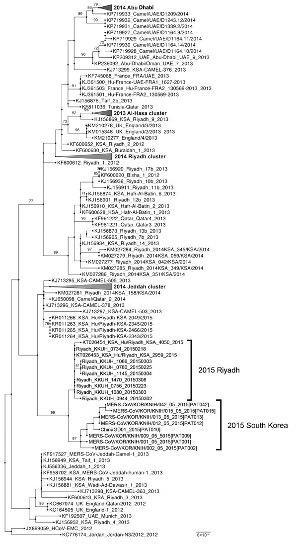 Molecular phylogenetic tree and coding region variants for spike glycoprotein genes of Middle East respiratory syndrome coronavirus (MERS-CoV) isolates from South Korea, May 2015, and reference MERS-CoV sequences. Phylogenetic analysis of 139 spike glycoprotein gene sequences was performed by using RAxML software (10). Tree was visualized with FigTree v.1.4 (http://tree.bio.ed.ac.uk/software/figtree). Taxonomic positions of circulating strains from the outbreak in South Korea and Riyadh are indi