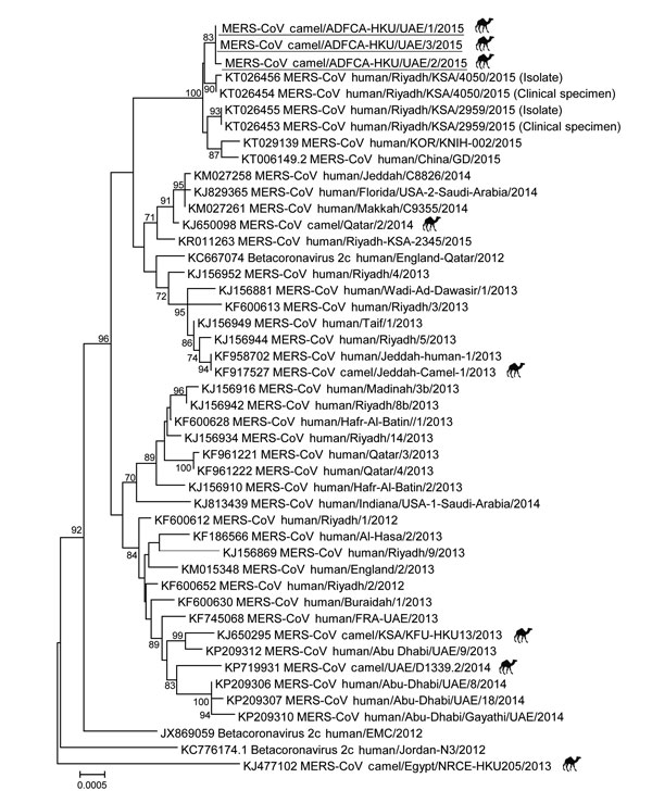 covid 19 genome sequence analysis