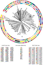 Thumbnail of Population structure of 328 Streptococcus pyogenes strains from children with group A Streptococcus (GAS) disease admitted to Kilifi County Hospital, Kenya, 1998–2011. Unrooted maximum-likelihood phylogeny based on the whole-genome associations of mapped S. pyogenes genomes to the MGAS5005 reference genome indicates extensive genomic diversity within the population. The rings surrounding the central phylogeny correspond to standard GAS molecular typing methods; colors indicate diffe