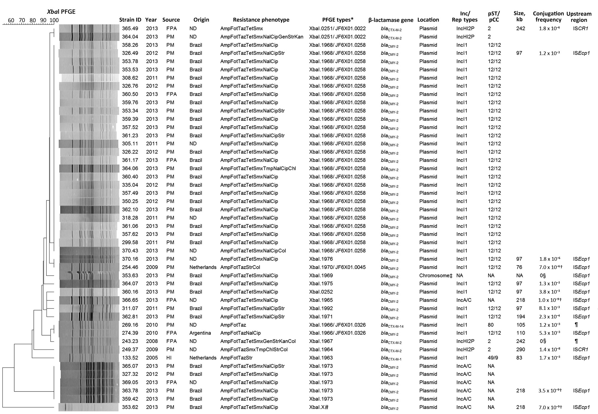 Characteristics of extended-spectrum cephalosporin-resistant Salmonella enterica serovar Heidelberg isolates, the Netherlands, 1999–2013. The dendrogram was generated by using BioNumerics version 6.6 (Applied Maths, Sint-Martens-Latem, Belgium) and indicates results of a cluster analysis on the basis of XbaI–pulsed-field gel electrophoresis (PFGE) fingerprinting. Similarity between the profiles was calculated with the Dice similarity coefficient and used 1% optimization and 1% band tolerance as 