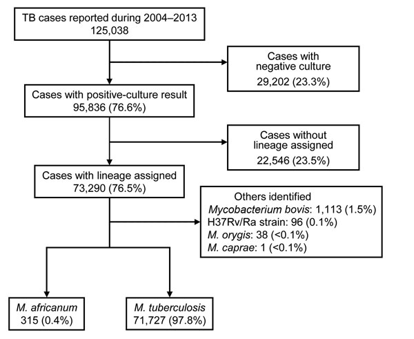 Selection of cases included in analysis of tuberculosis (TB) caused by Mycobacterium africanum, United States, 2004–2013.