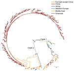 Thumbnail of Phylogenetic tree of Salmonella enterica serovar Paratyphi A strains in China and worldwide. The branches are colored according to the inferred location. Scale bar indicates number of years.