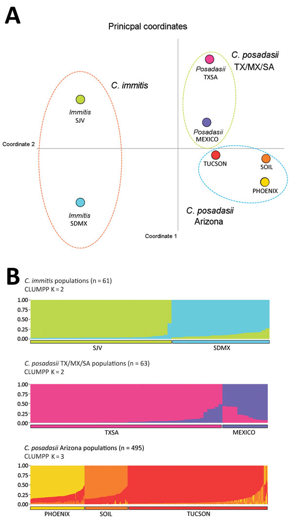 Results of principal coordinate analysis and STRUCTURE analyses of Coccidioides spp. populations. A) Principal coordinate analysis using Nei’s unbiased genetic distance estimates supports 3 main groupings: C. immitis, C. posadasii TX/SA/MX, and C. posadasii Arizona (see also Technical Appendix 3 Figure 2). The greatest separation occurs between species and is reflected in principal coordinate 1 (93.92% of variance). Color-coding for populations: lime green, San Joaquin Valley (SJV); aqua, San Di