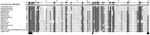 Thumbnail of Taggert virus RNA-dependent RNA polymerase showing a viral homologue (vOTU) of the ovarian tumor domain. The alignment of nairoviruses shows a consensus sequence, which corresponds to the vOTU domain (24–26), which has been linked to virulence. The highly conserved residues, which include the catalytic triad residues, are indicated with a black box below each column.