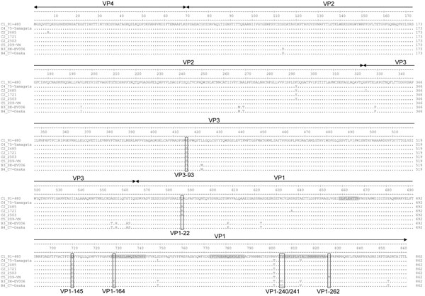 Amino acid sequence comparison of the capsid regions of EV-71 strains used for serologic analysis of strains isolated in Asia and Europe in study of immunity to these strains after exposure to IVIg from viruses from the Netherlands. Residues 164, 240, and 241 of VP1 (differing among genogroup B and C viruses and located in known antigenic sites) and residues that differ among neutralizable and nonneutralizable strains are marked by boxes. Known epitopes and antigenic determinants for EV-71 are m