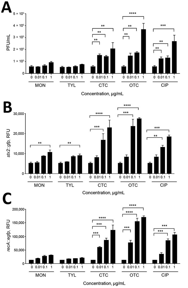 Induction of Shiga toxin (Stx)2 phage propagation and SOS response by bovine antibiotic growth promoters (bAGPs). A) Stx2 phage induction in Escherichia coli O157:H7 EDL933 after 3 h exposure to subtherapeutic concentrations of bAGPs, including monensin (MON), tylosin (TYL), chlortetracycline (CTC), and oxytetracycline (OTC). Ciprofloxacin (CIP) was a control for phage induction. E. coli C600 was used as a phage-susceptible strain. B) Induction of stx2 expression by bAGPs. Fluorescence from an s