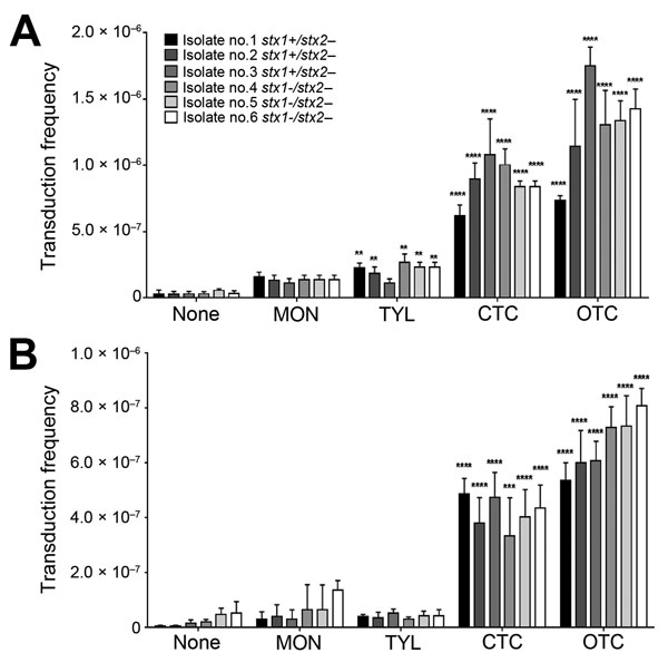 Emergence of Shiga toxin (Stx)–2–positive strains of Escherichia coli from cattle (isolates 1–6) by subtherapeutic bovine antibiotic growth promoters (bAGPs) at 0.1 µg/mL (A) and 0.01 µg/mL (B). Frequency of transfer of Stx phages to bovine E. coli isolates originated from a detoxified derivative of E. coli O157:H7 EDL933, where stx2 was replaced with a kanamycin resistance cassette. The donor and recipient E. coli strains were co-cultured with or without monensin (MON), tylosin (TYL), chlortetr