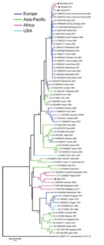 Thumbnail of Phylogenetic tree created with the complete VP1 nucleotide sequences (891 bp in length) of enterovirus A71 isolated from 4 patients with acute flaccid paralysis in West Africa, the most similar nucleotide sequences identified by a search in GenBank by using BLAST (http://www.ncbi.nlm.nih.gov/), and a representative global set of enterovirus A71 sequences belonging to different genogroups and subgenogroups. The coxsackievirus A16 prototype G-10 sequence was introduced as the outgroup