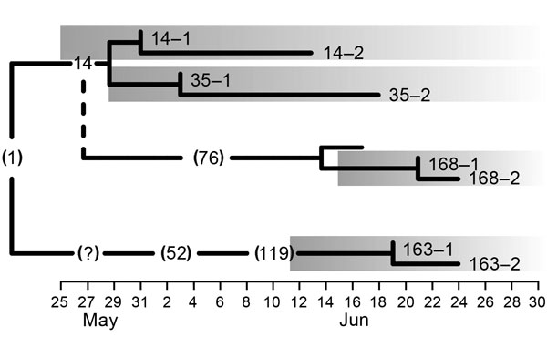 Transmission tree timeline for 8 Middle East respiratory syndrome coronavirus strains isolated during an outbreak in South Korea, 2015. Numbers without parentheses indicate patients in this study; numbers inside parentheses indicate patients not included in this study. The index case-patient is represented by (1). Numbers 1 and 2 following patient identification numbers indicate separate samples that were sequenced. The left edge of each shaded box indicates date of symptom onset for that patien