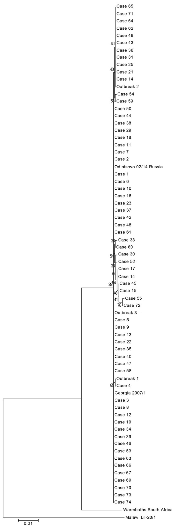 Phylogenetic analysis of African swine fever virus detected in pigs (outbreaks) and wild boar (cases) in Poland. Numbers on branches indicate bootstrap coefficient values. Scale bar indicates nucleotide substitutions per residue.