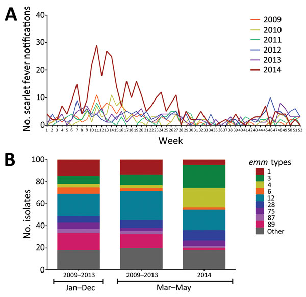 Increase in North-West London scarlet fever notifications and association with emm4 and emm3, 2014. A) Weekly scarlet fever notifications in North-West London during  2009–2014. During  weeks 10–20 (March–May) 2014, the number of notifications substantially increased. B) emm genotyping of 404 upper respiratory tract Streptococcus pyogenes isolates. Isolates were available from March 2009 through May 2014, inclusive; 308 isolates were from 2009–2013; however, of these, 134 were from 2009, and 174