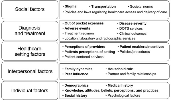 Social ecologic model used to identify factors influencing loss to follow-up during treatment for multidrug resistant tuberculosis in the Philippines, 2012–2014. Boldface indicates data collected through patient interviews and medical record abstractions. DOTS, directly observed therapy.