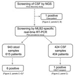 Thumbnail of Flowchart of study using NGS to determine potential viral etiologic agents of meningoencephalitic and respiratory syndromes, Geneva, Switzerland, 2014. *The diarrheic immunocompetent infant is not represented in Figure 2. CSF, cerebrospinal fluid; NGS, next-generation sequencing; RT-PCR, reverse transcription PCR.