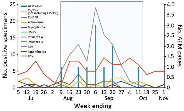 Pathogens isolated from patients with acute flaccid myelitis and from patients in a pediatric intensive care unit, Colorado, USA, July–November, 2014. Box indicates study period. AFM, acute flaccid myelitis; CoV, coronavirus; EV, enterovirus; HMPV, human metapneumovirus; RPP, respiratory pathogen panel; RSV, respiratory syncytial virus; RV, rhinovirus.