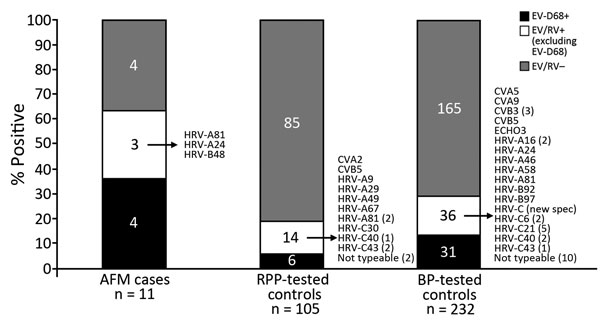 Results of enterovirus testing among case-patients and controls in study of acute flaccid myelitis, Colorado, USA, July–November, 2014. Arrows indicate specific strains identified in those specimens; numbers in parentheses indicate number of that type of strain. AFM, acute flaccid myelitis; BP, Bordetella pertussis; CV, coxsackievirus; echo, echovirus; EV, enterovirus; HRV, human rhinovirus; RPP, respiratory pathogen panel; RV, rhinovirus; RPP, respiratory pathogen panel.