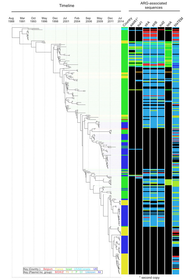 The OJC-associated lineage of multidrug-resistant Shigella sonnei across time and associated antimicrobial drug resistance. The Bayesian-inferred phylogenetic tree shows the evolutionary relationships of 333 isolates (those for which a fixed date was available) in the OJC-associated lineage since its emergence in the late 1980s. Tree tips overlay the collection date of the isolates. Lane 1 at right shows the country of origin (colors shown in key), and subsequent tracks show the plasmid incompat