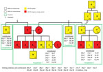 Thumbnail of Family relationships and household distribution of persons infected with MERS-CoV, Al-Qouz, Saudi Arabia, 2014. Black lines denote standard family tree relationships. Patients are lettered in order of symptom onset or, if asymptomatic, by test date. Green boxes indicate households; all persons living in households 1–4 were tested, except for 2 adults living in household 4 (not shown). Index patient (person with earliest symptom onset diagnosed by rRT-PCR) in each household is underl