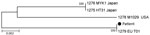 Thumbnail of Molecular phylogenetic analysis of Borrelia strain from cerebrospinal fluid of a 74-year-old immunocompromised woman in Germany (black dot) conducted by using 6 multilocus sequence typing genes (clpA, clpX, pepX, pyrG, recG, rplB) of Borrelia miyamotoi. The sequences obtained from the patient sample clustered with B. miyamotoi strain EU_T01 from Europe, retrieved from the PubMLST Borrelia database (http://pubmlst.org/borrelia/). The phylogenetic relationship of the sample analyzed w